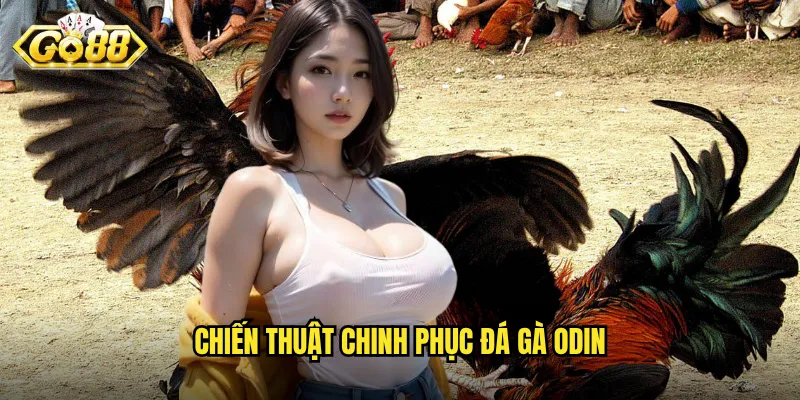 Chiến thuật chinh phục đá gà Odin